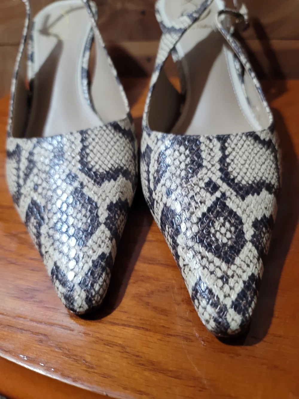 Sam Edelman Snake-Print Pointed Toe Flats in Beige and Black